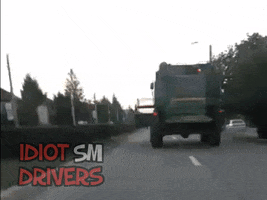 marius33grdyahoocom  GIF