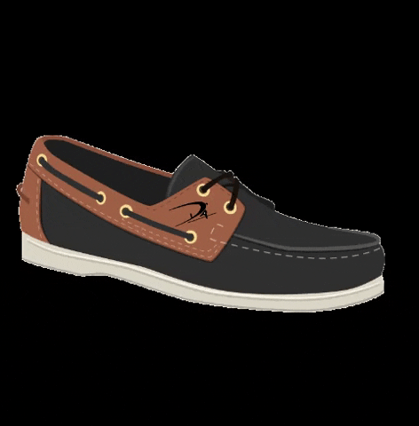 Zapatos GIF