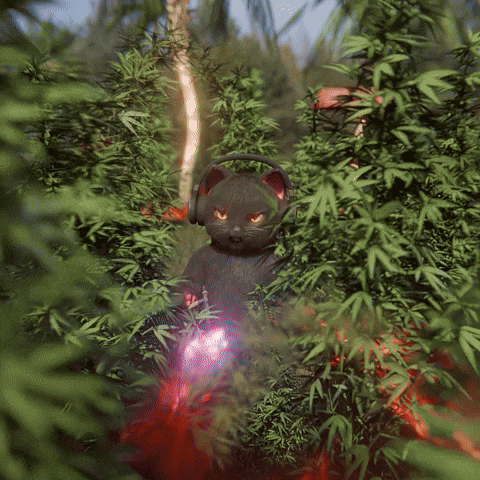 Cat GIF