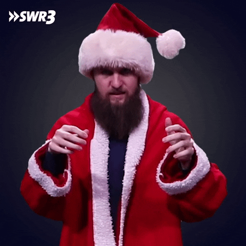 Merry Christmas What GIF by SWR3