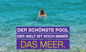 holidayextrasdeutschland beach pool quote bikini GIF