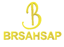 Brsahsap Sticker by Brs Plastik