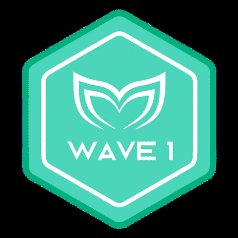 Wave1 GIF by Molchanovs