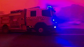 fires australia fires wildifires GIF