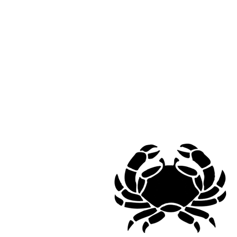 dgkeybiscayne GIF