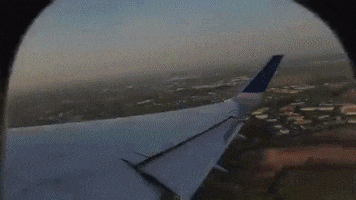 Netherlands GIF
