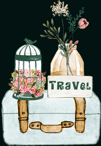 Travel Suitcase GIF by b&b Colazione da Augusta
