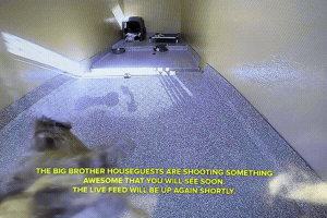 Big Brother GIF