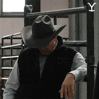 Paramount Network What GIF by Yellowstone