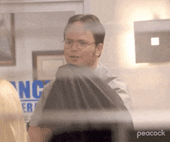 Season 4 Cat GIF by The Office