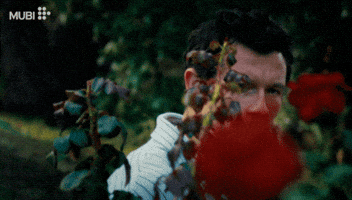 Elle Fanning Film GIF by MUBI