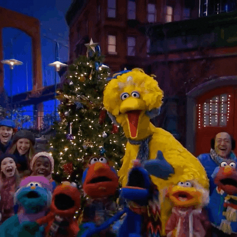 Christmas Tree GIF by Sesame Street