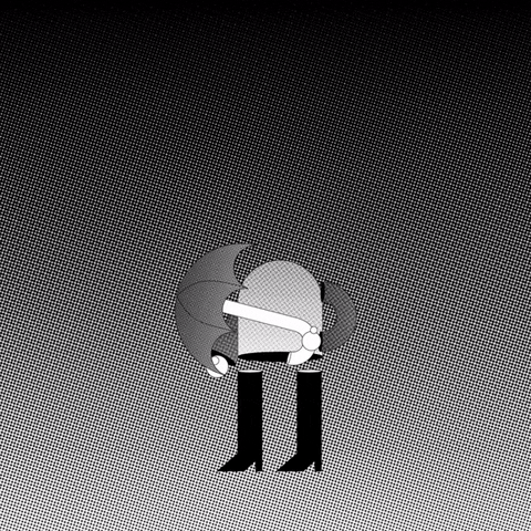 Tuesday GIF