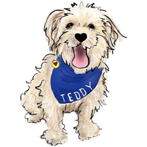 Sticker by teddytakesthecity