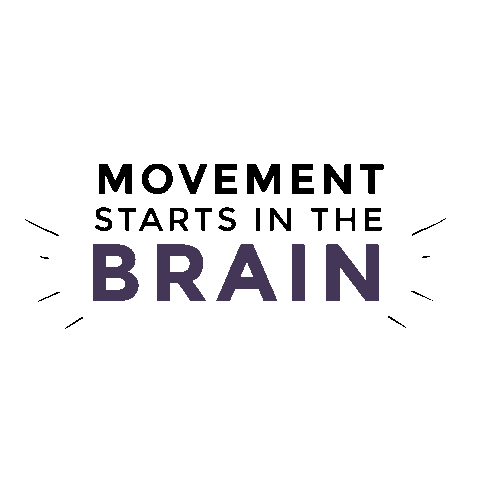 Cologne Cgn Sticker by Black Box Athletics