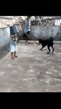 Floorball GIF