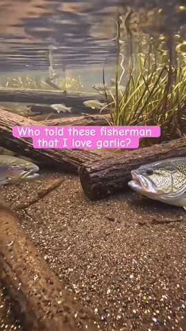 Bass Garlic GIF