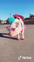 200.gif