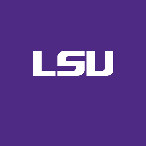 Lsu GIF by Louisiana State University
