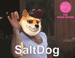 Dogecoin Tdp GIF by The Doge Pound 