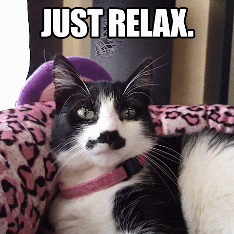 Relaxed Cat GIF