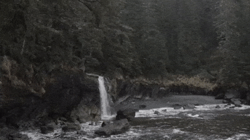 uviccampuslife nature peace forest waterfall GIF