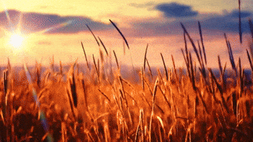 Labor Day Career GIF