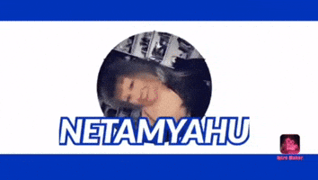 Tamillerz GIF