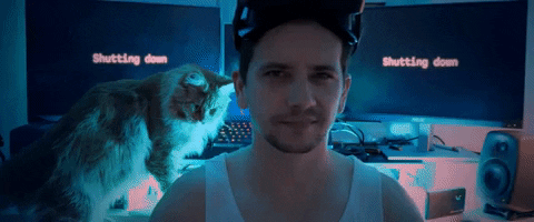 Equipping Virtual Reality Goggles