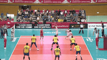 Point Celebrate GIF by Volleyball World