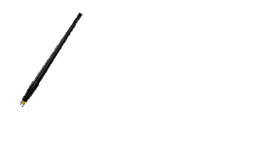 Sticker by Envy My Brows