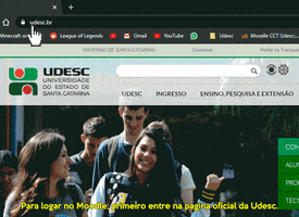 Joinville GIF