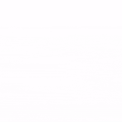 We Select GIF