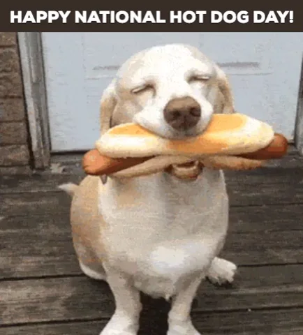 National Hot Dog Day GIF