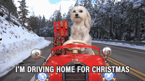 giphy.gif?cid=4d1e4f29e096bb381abf2cd6f986b0be0308c2d8b6d89866&rid=giphy.gif