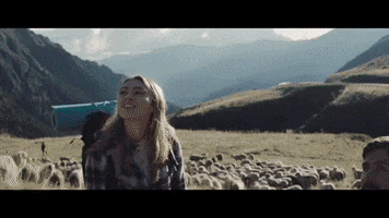 GIF by Almabrands