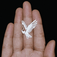 Fly High Love GIF by Parth Kothekar