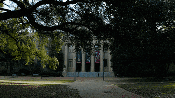 Campus Sc GIF by University of South Carolina