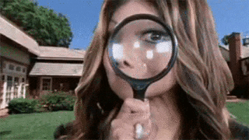 giphy.gif?cid=4d1e4f29166821dbb639a4a6fc