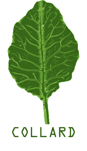 naturesgreens Sticker