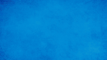2In1 GIF