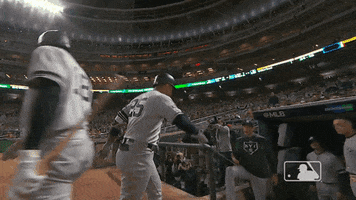 Be Quiet New York GIF by MLB