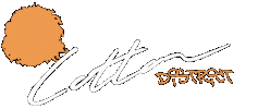 cottondistrict Sticker