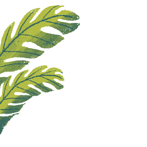 Plant Bush Sticker by Vane_Quiroz_ilustracion