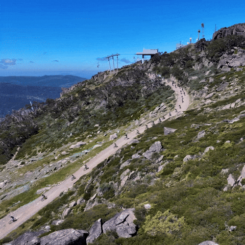 GIF by Thredbo