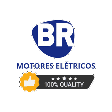 Br Motores Elétricos Sticker
