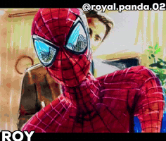 Spiderman Roy GIF