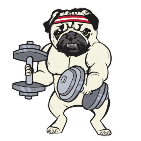 Lifting Weights Dog Sticker by Pug Life Agency®