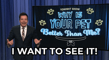 I Dont Believe You Jimmy Fallon GIF by The Tonight Show Starring Jimmy Fallon
