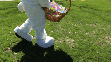 Easter Bunny GIF by Cantigny Park